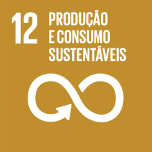 Logotipo ODS 12