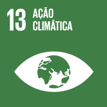 logotipo ODS 13