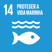 logotipo ODS 14