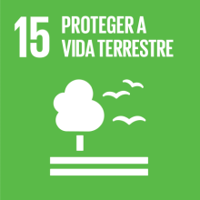 logotipo ODS 15