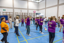 dmaf20