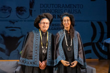 honoriscausavn6